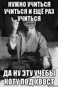 нужно учиться учиться и ещё раз учиться да ну эту учёбы коту под хвост