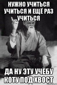 нужно учиться учиться и ещё раз учиться да ну эту учёбу коту под хвост