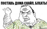 Поставь дома скайп, блеать!