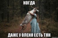 когда даже у оленя есть тян