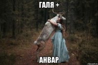 галя + анвар