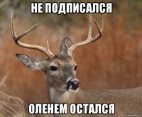 не подписался оленем остался