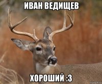 иван ведищев хороший :3