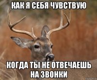 как я себя чувствую когда ты не отвечаешь на звонки