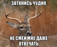 заткнись чудик не смей мне даже отвечать