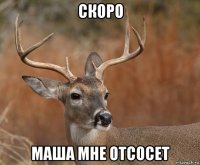 скоро маша мне отсосет