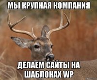 мы крупная компания делаем сайты на шаблонах wp