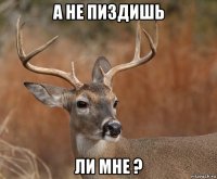 а не пиздишь ли мне ?