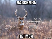 максимка ты мой