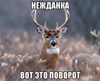 нежданка вот это поворот