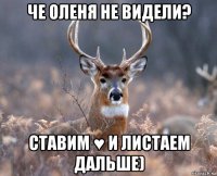 че оленя не видели? ставим ♥ и листаем дальше)