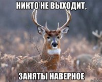 никто не выходит, заняты наверное