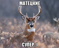 матецкие супер..)