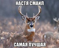 настя смаил самая лучшая