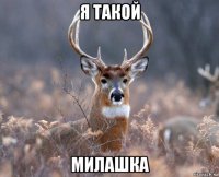 я такой милашка