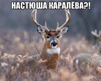 настюша каралёва?! 