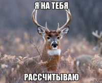 я на тебя рассчитываю