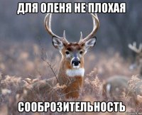 для оленя не плохая сооброзительность