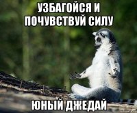 узбагойся и почувствуй силу юный джедай