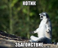 котик збагойствие