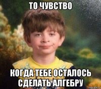 то чувство когда тебе осталось сделать алгебру