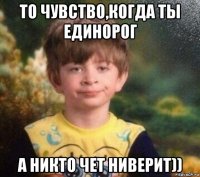 то чувство,когда ты единорог а никто чет ниверит))