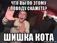 что вы по этому поводу скажете? шишка кота