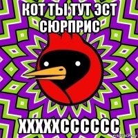 кот ты тут эст сюрприс хххххсссссс