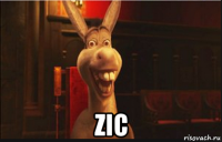  zic