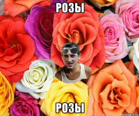 розы розы