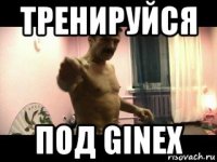 тренируйся под ginex