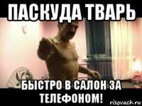 паскуда тварь быстро в салон за телефоном!