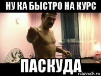 ну ка быстро на курс паскуда