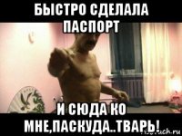 быстро сделала паспорт и сюда ко мне,паскуда..тварь!