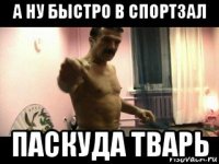 а ну быстро в спортзал паскуда тварь