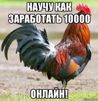 научу как заработать 10000 онлайн!