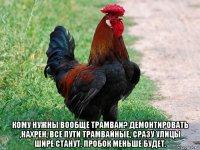  кому нужны вообще трамваи? демонтировать ,нахрен, все пути трамвайные, сразу улицы шире станут. пробок меньше будет.