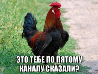  это тебе по пятому каналу сказали?