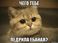 чего тебе педрила ебаная?