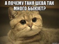 а почему таня шева так много быкует? 