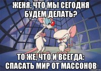 женя, что мы сегодня будем делать? то же, что и всегда: спасать мир от массонов