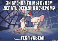 эй брейн что мы будем делать сегодня вечером? -......тебя убьем!