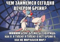 чем займемся сегодня вечером брейн? ......-ммммм бряк!-брейн ты говоришь как я. я тупею! я тупею!-о нет! брейн! а как же мир!какой мир?