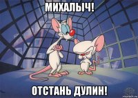 михалыч! отстань дулин!