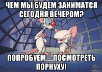 чем мы будем заниматся сегодня вечером? попробуем.....посмотреть порнуху!