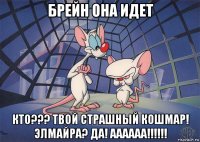 брейн она идет кто??? твой страшный кошмар! элмайра? да! аааааа!!!!!!