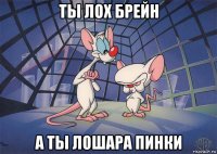 ты лох брейн а ты лошара пинки