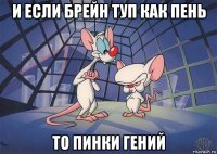 и если брейн туп как пень то пинки гений