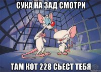 сука на зад смотри там кот 228 сьест тебя