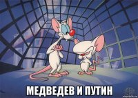  медведев и путин